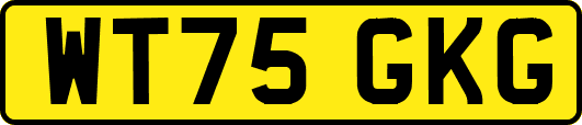 WT75GKG