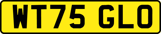 WT75GLO
