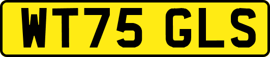 WT75GLS