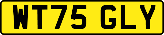 WT75GLY