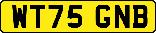 WT75GNB