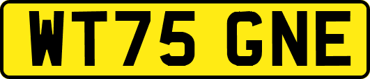 WT75GNE