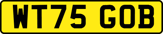 WT75GOB