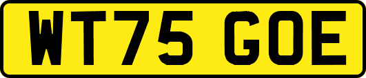 WT75GOE
