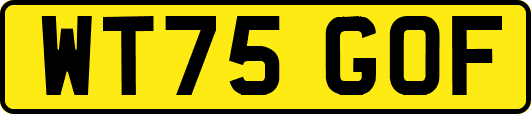 WT75GOF
