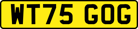 WT75GOG