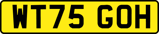 WT75GOH
