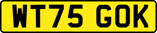WT75GOK