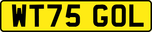 WT75GOL