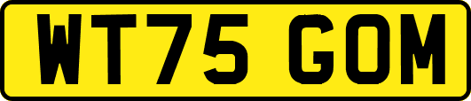 WT75GOM