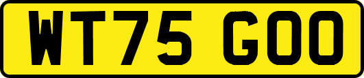 WT75GOO