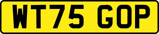 WT75GOP