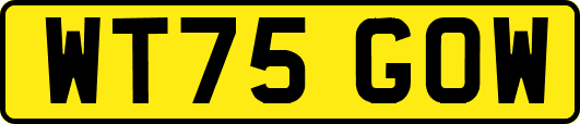WT75GOW