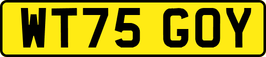 WT75GOY