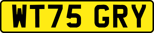 WT75GRY