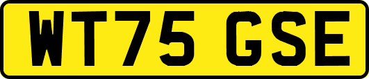 WT75GSE