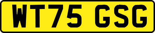 WT75GSG