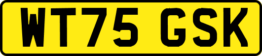 WT75GSK