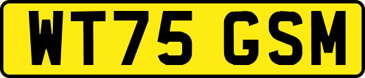 WT75GSM