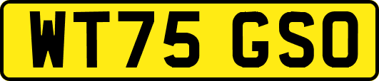 WT75GSO