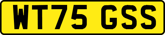 WT75GSS