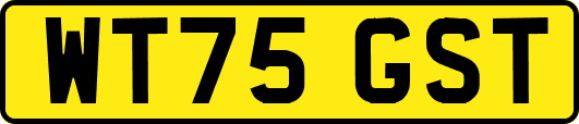 WT75GST