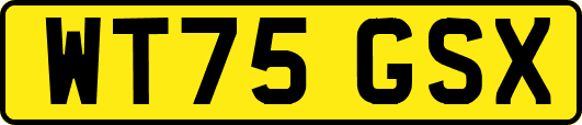 WT75GSX