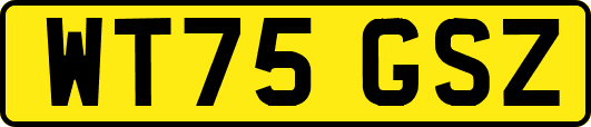 WT75GSZ