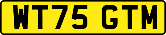 WT75GTM