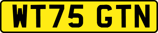 WT75GTN