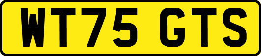 WT75GTS