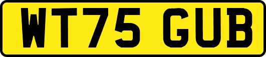 WT75GUB
