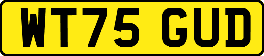 WT75GUD
