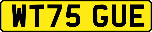 WT75GUE