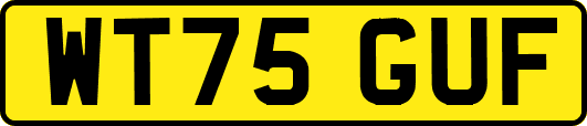 WT75GUF