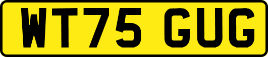 WT75GUG