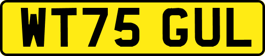 WT75GUL