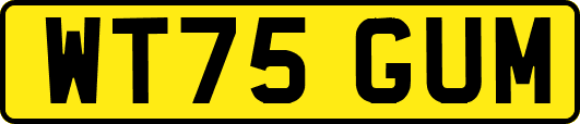 WT75GUM