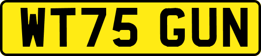 WT75GUN