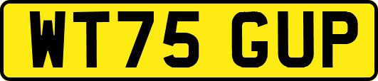 WT75GUP