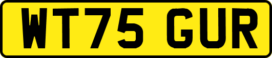 WT75GUR