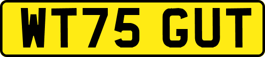 WT75GUT