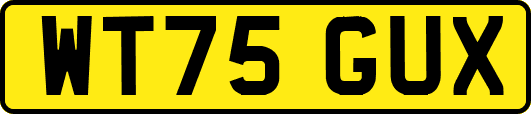WT75GUX
