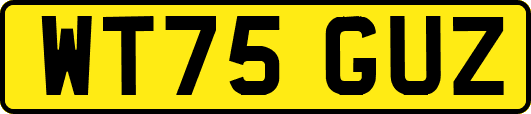 WT75GUZ