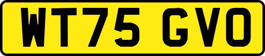 WT75GVO