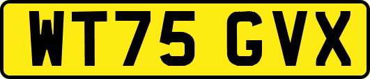 WT75GVX