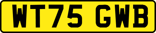WT75GWB