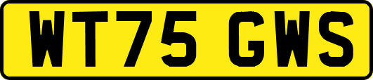 WT75GWS