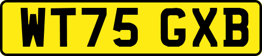 WT75GXB