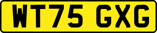 WT75GXG